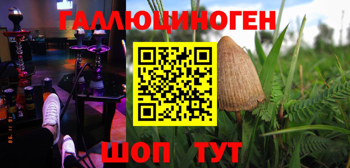 Галлюциногенные грибы Cubensis Кимры